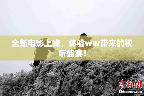 全新电影上线，体验ww带来的视听盛宴！