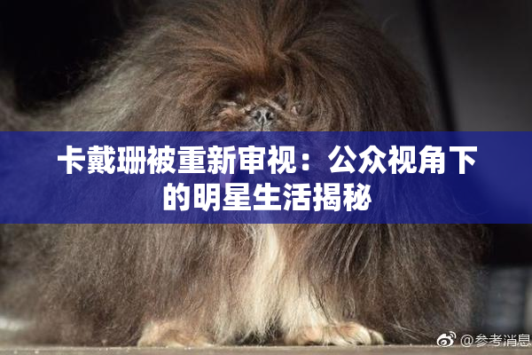 卡戴珊被重新审视：公众视角下的明星生活揭秘