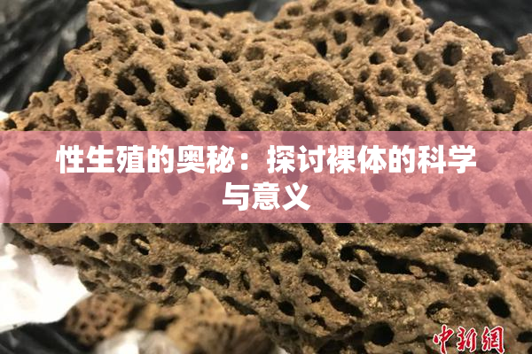 性生殖的奥秘：探讨裸体的科学与意义