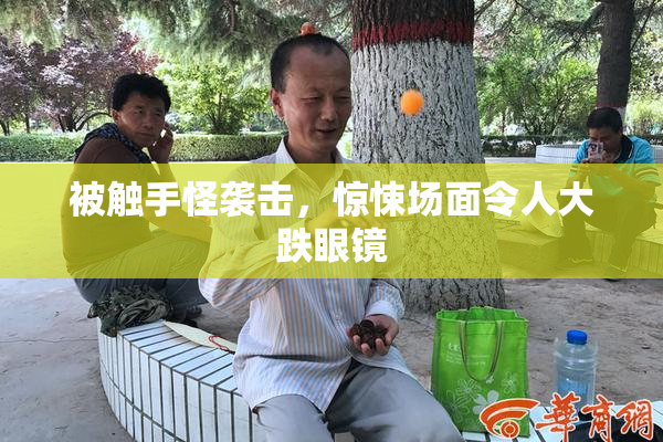 被触手怪袭击，惊悚场面令人大跌眼镜