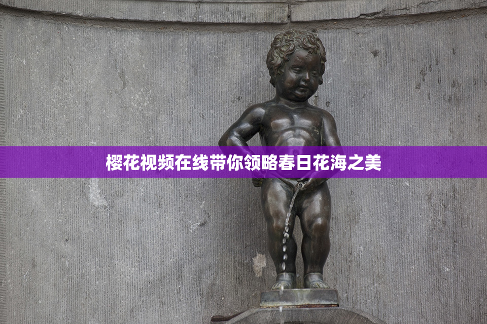 樱花视频在线带你领略春日花海之美