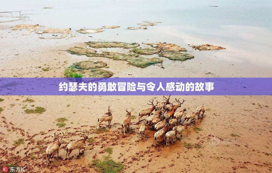 约瑟夫的勇敢冒险与令人感动的故事