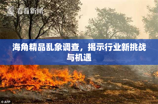 海角精品乱象调查，揭示行业新挑战与机遇
