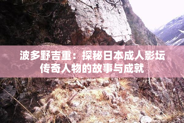 波多野吉重：探秘日本成人影坛传奇人物的故事与成就