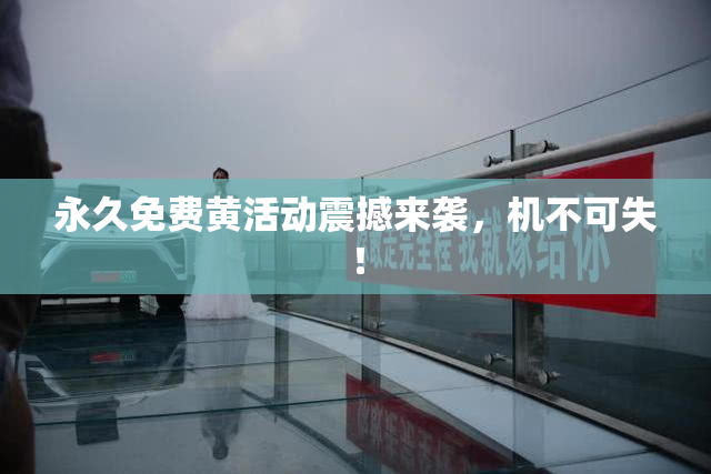 永久免费黄活动震撼来袭，机不可失！