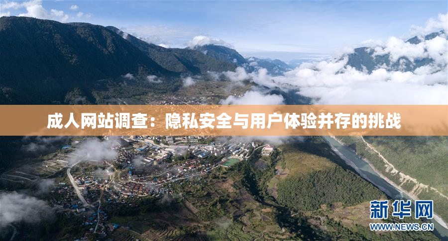 成人网站调查：隐私安全与用户体验并存的挑战