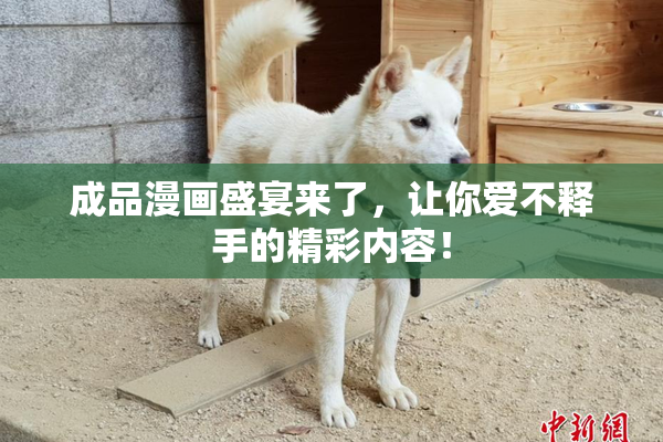 成品漫画盛宴来了，让你爱不释手的精彩内容！