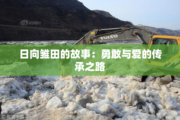 日向雏田的故事：勇敢与爱的传承之路