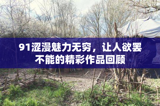 91涩漫魅力无穷，让人欲罢不能的精彩作品回顾