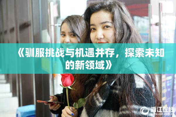 《驯服挑战与机遇并存，探索未知的新领域》