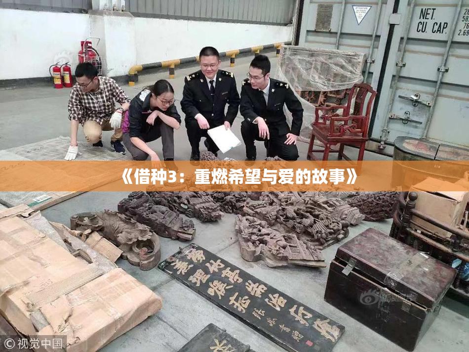 《借种3：重燃希望与爱的故事》