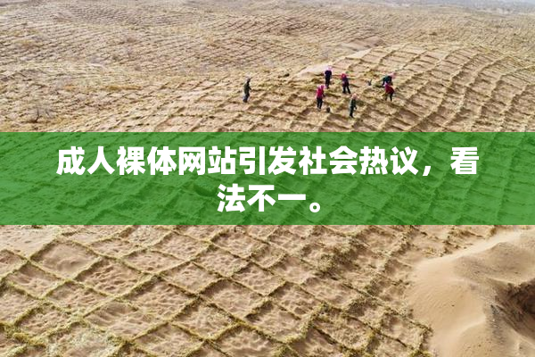 成人裸体网站引发社会热议，看法不一。