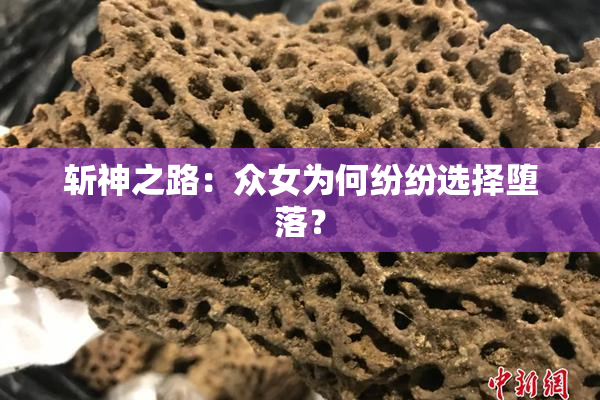 斩神之路：众女为何纷纷选择堕落？