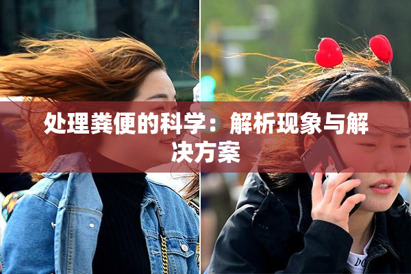 处理粪便的科学：解析现象与解决方案