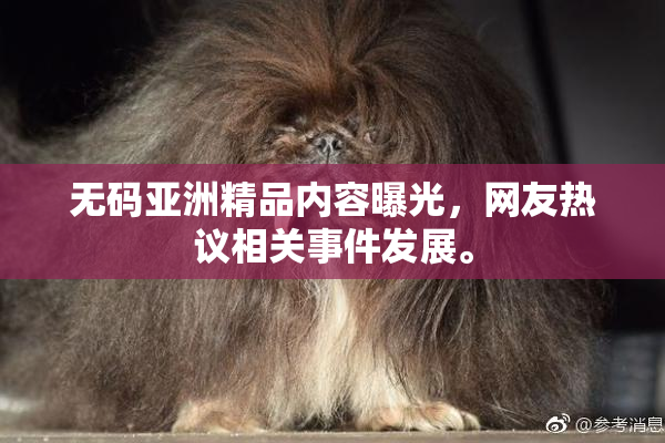 无码亚洲精品内容曝光，网友热议相关事件发展。
