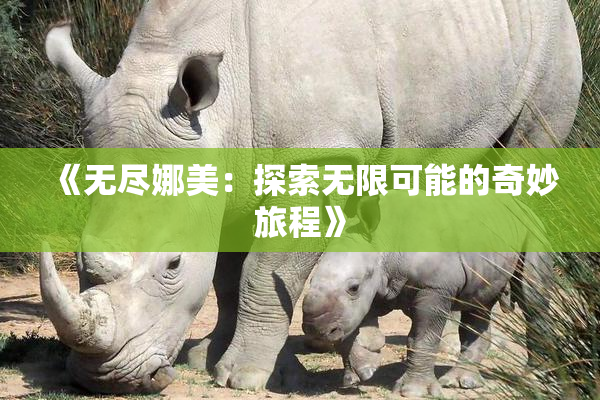 《无尽娜美：探索无限可能的奇妙旅程》