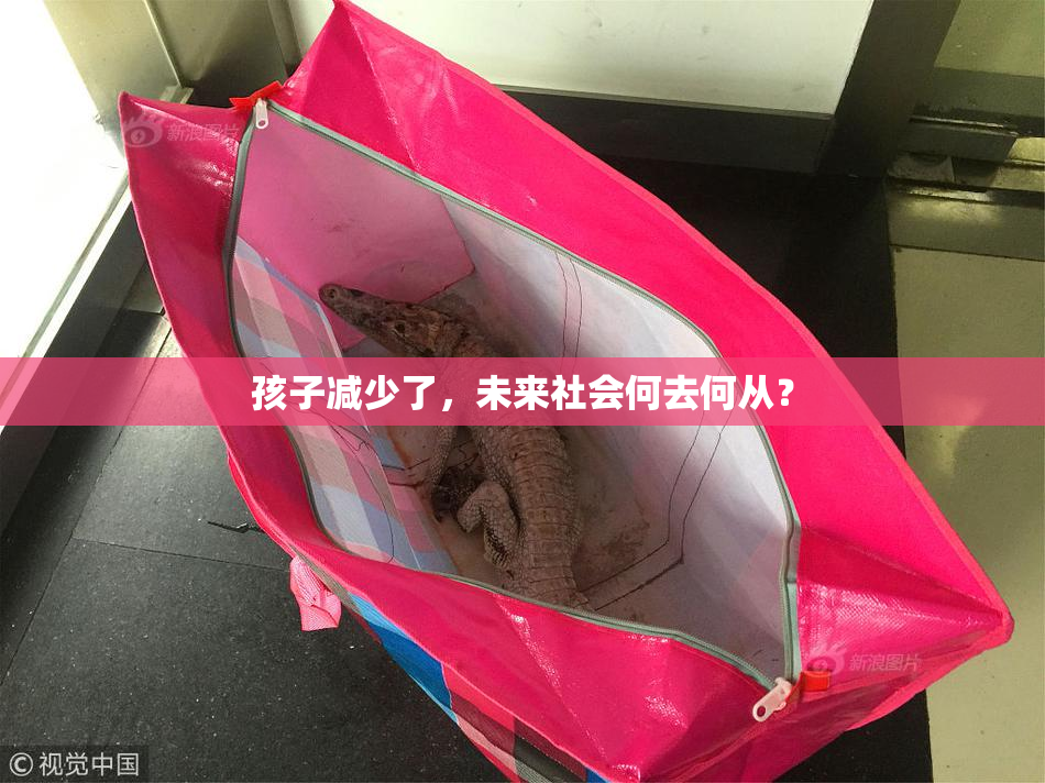孩子减少了，未来社会何去何从？