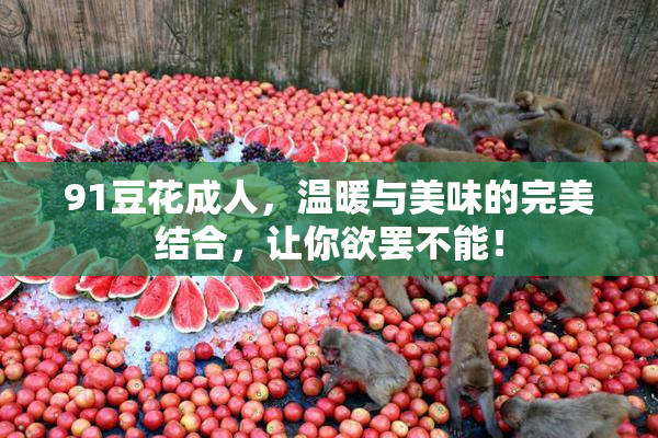 91豆花成人，温暖与美味的完美结合，让你欲罢不能！