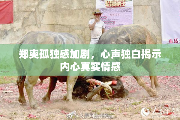 郑爽孤独感加剧，心声独白揭示内心真实情感