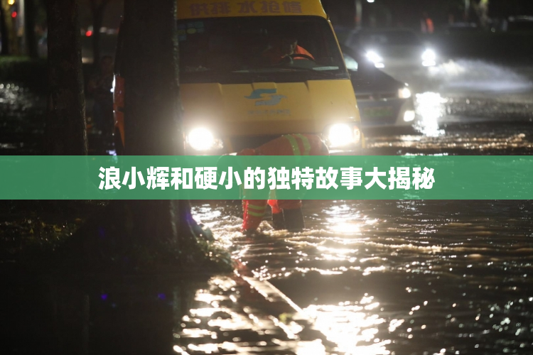 浪小辉和硬小的独特故事大揭秘