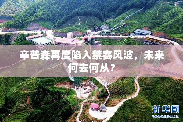 辛普森再度陷入禁赛风波，未来何去何从？