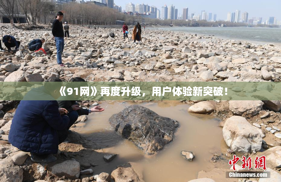 《91网》再度升级，用户体验新突破！