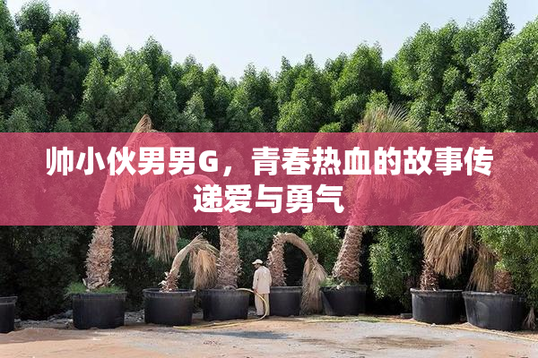 帅小伙男男G，青春热血的故事传递爱与勇气