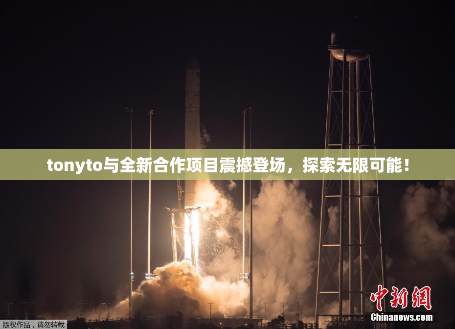 tonyto与全新合作项目震撼登场，探索无限可能！
