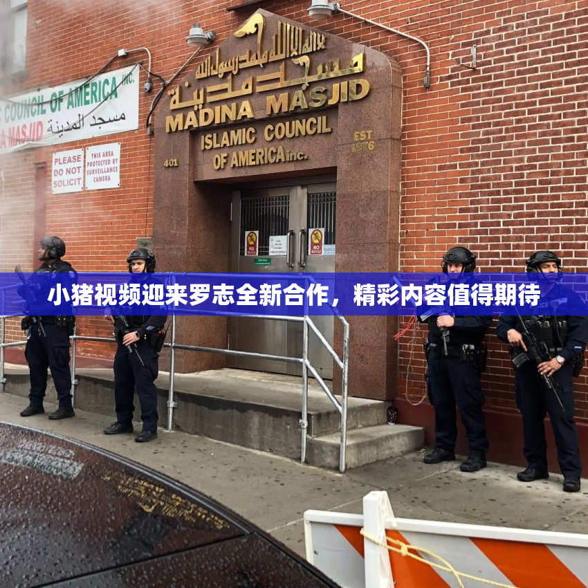 小猪视频迎来罗志全新合作，精彩内容值得期待