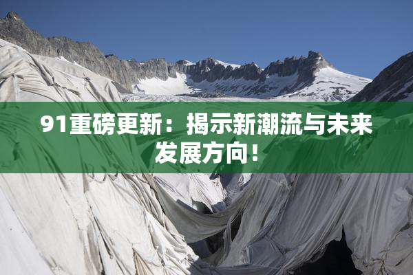 91重磅更新：揭示新潮流与未来发展方向！