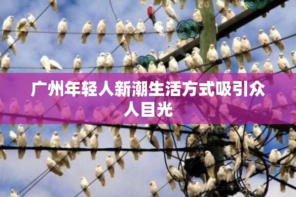 广州年轻人新潮生活方式吸引众人目光