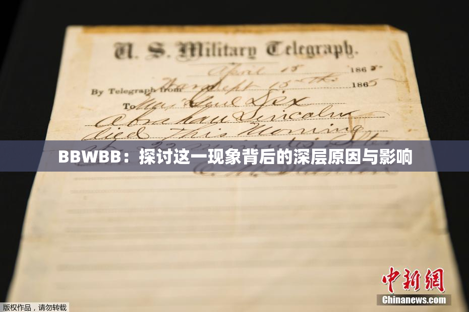 BBWBB：探讨这一现象背后的深层原因与影响
