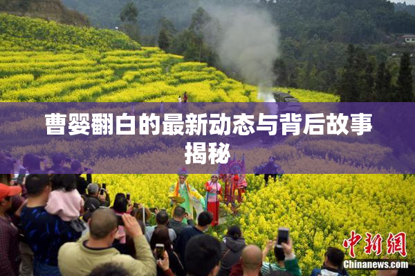 曹婴翻白的最新动态与背后故事揭秘