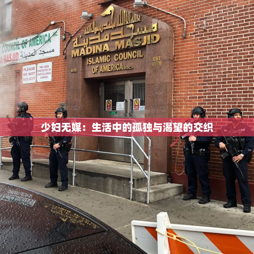 少妇无媒：生活中的孤独与渴望的交织