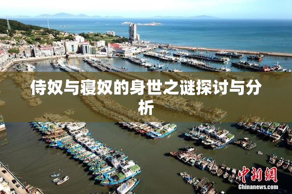 侍奴与寝奴的身世之谜探讨与分析