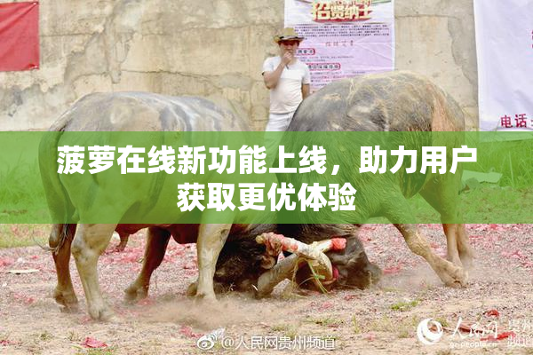 菠萝在线新功能上线，助力用户获取更优体验