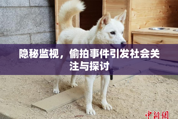 隐秘监视，偷拍事件引发社会关注与探讨