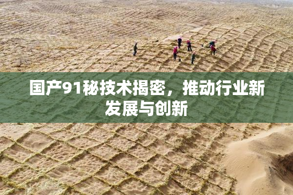 国产91秘技术揭密，推动行业新发展与创新