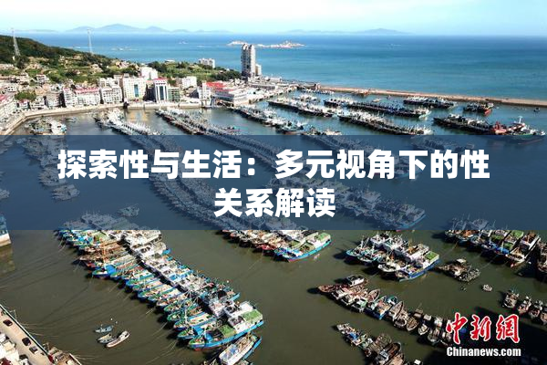 探索性与生活：多元视角下的性关系解读