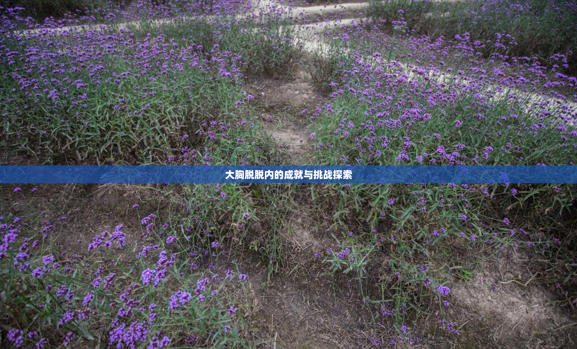 大胸脱脱内的成就与挑战探索