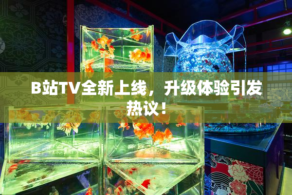 B站TV全新上线，升级体验引发热议！