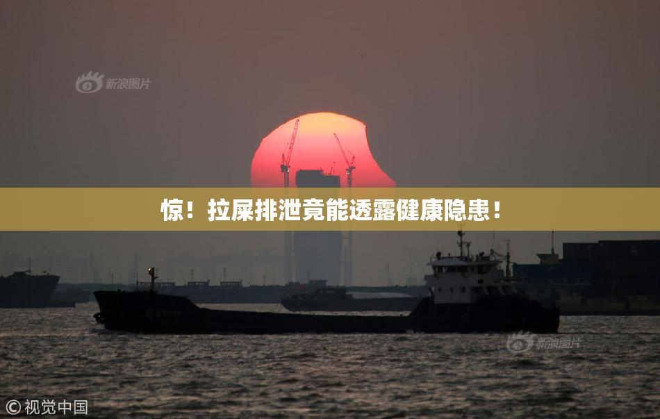 惊！拉屎排泄竟能透露健康隐患！