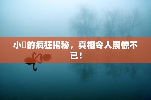 小泬的疯狂揭秘，真相令人震惊不已！