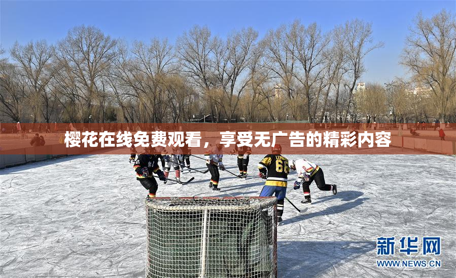 樱花在线免费观看，享受无广告的精彩内容