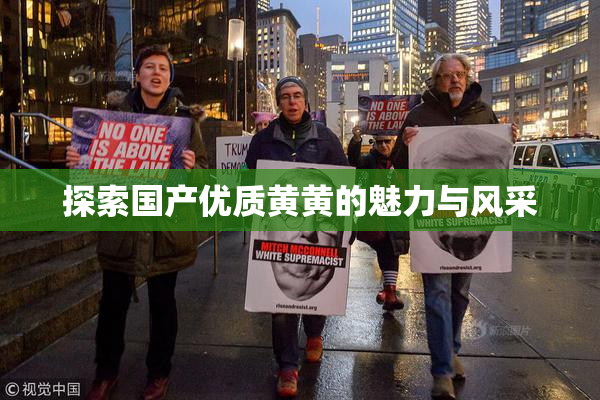 探索国产优质黄黄的魅力与风采