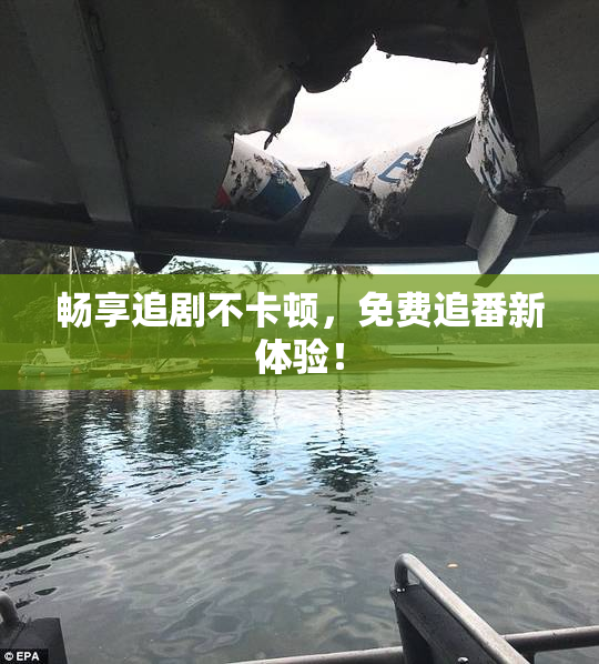 畅享追剧不卡顿，免费追番新体验！