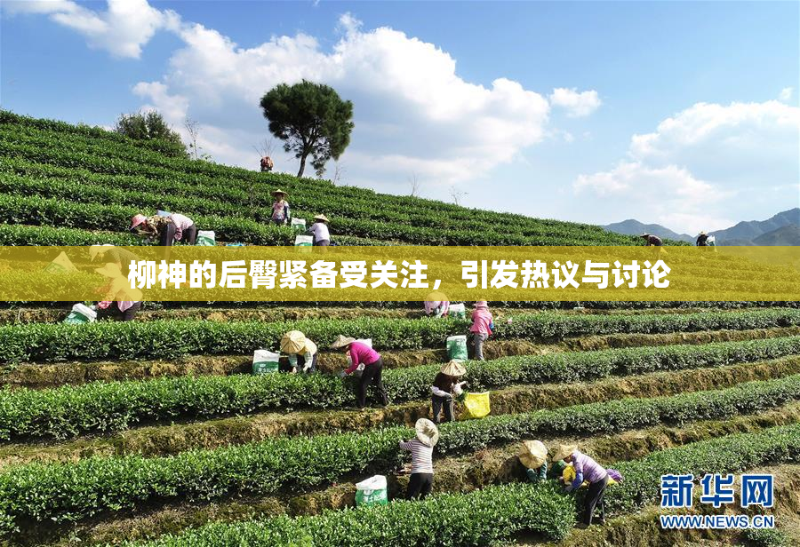 柳神的后臀紧备受关注，引发热议与讨论