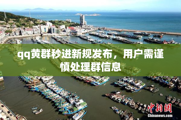 qq黄群秒进新规发布，用户需谨慎处理群信息