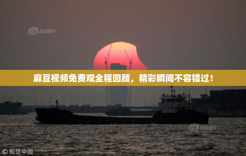 麻豆视频免费观全程回顾，精彩瞬间不容错过！