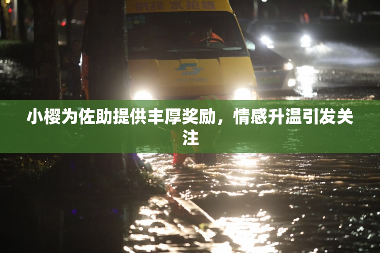 小樱为佐助提供丰厚奖励，情感升温引发关注